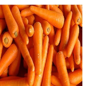 Carrots