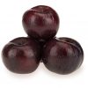 Plum- Imported